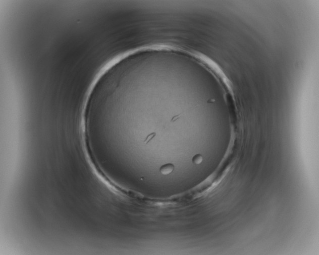 X0000115561335200911131619