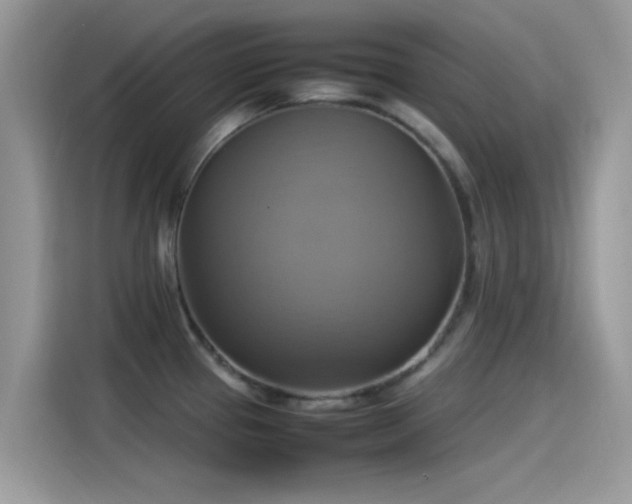 X0000115561337200911131619