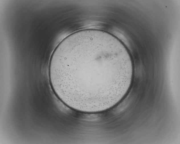 X0000115561338200911131619