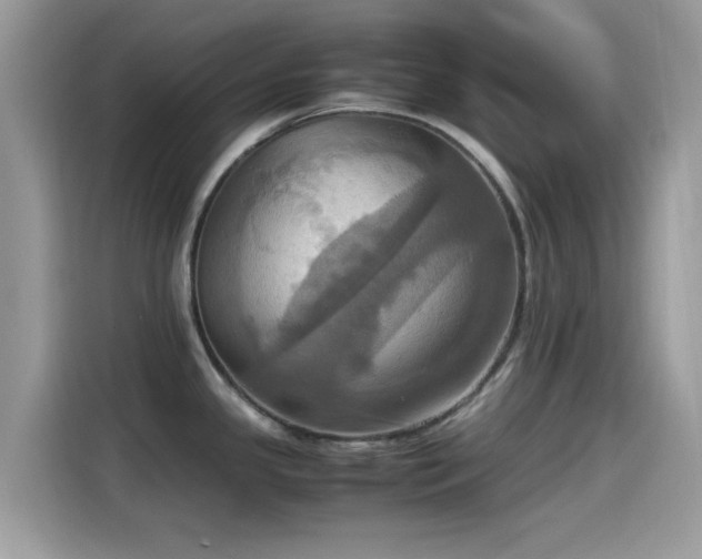 X0000115561341200911131619