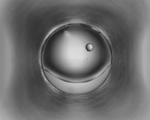 X0000115561342200911131619