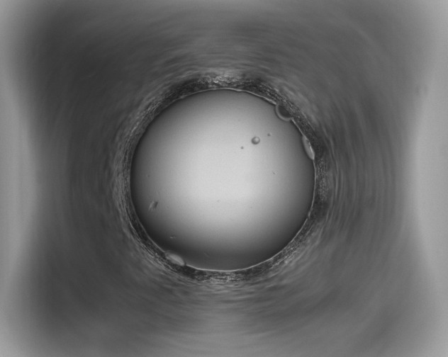 X0000115561345200911131618