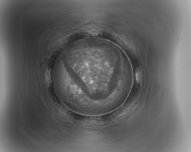 X0000115561347200911131618