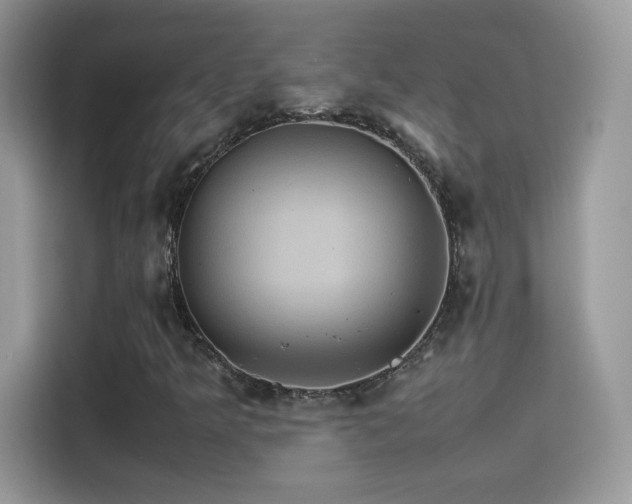X0000115561349200911131618