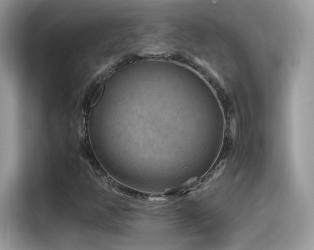 X0000115561350200911131618