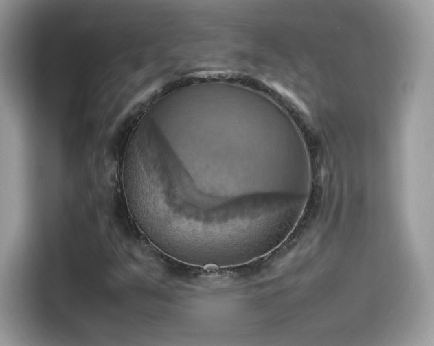 X0000115561351200911131618