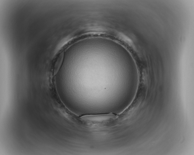 X0000115561352200911131618