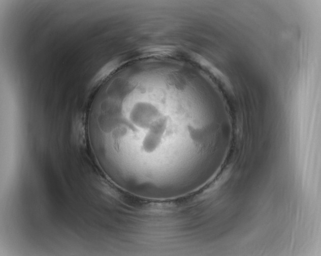 X0000115561354200911131618