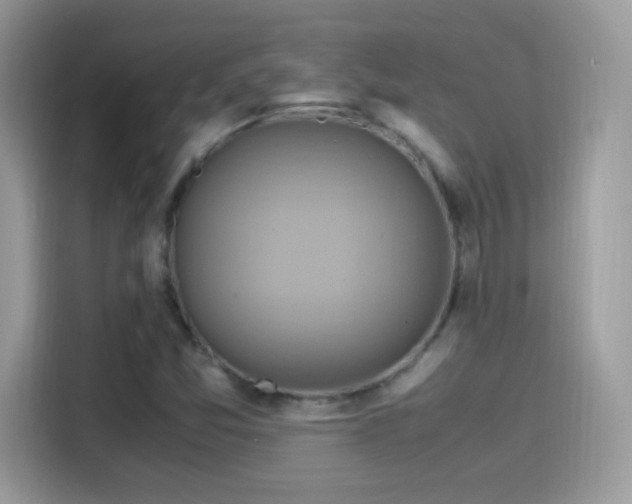 X0000115561357200911131618