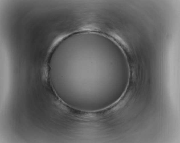 X0000115561358200911131618