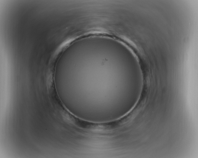 X0000115561359200911131618