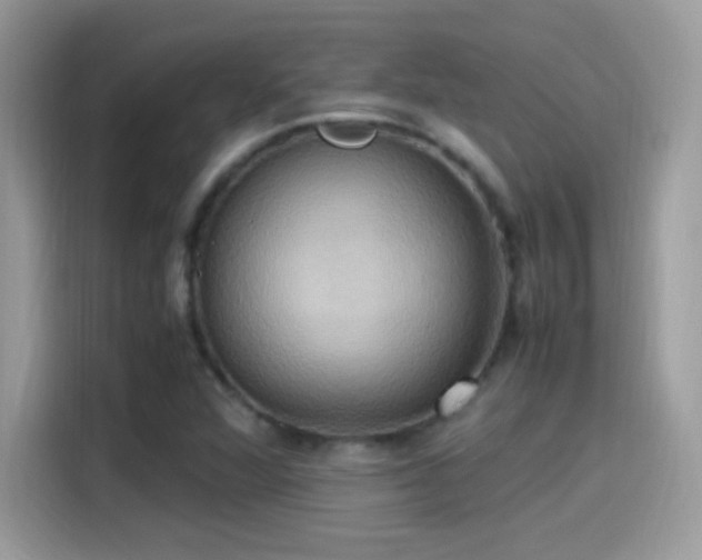 X0000115561360200911131618