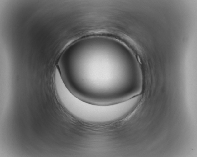 X0000115561361200911131618