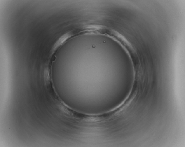 X0000115561362200911131618