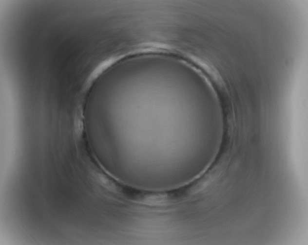 X0000115561363200911131618