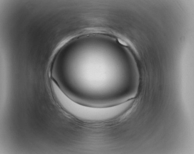 X0000115561365200911131618
