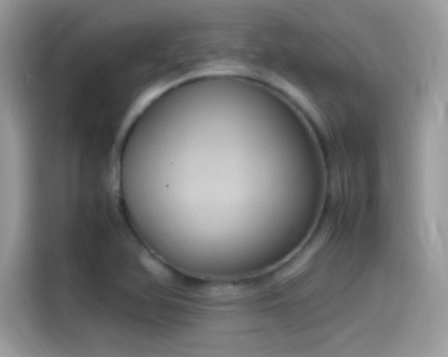 X0000115561366200911131618