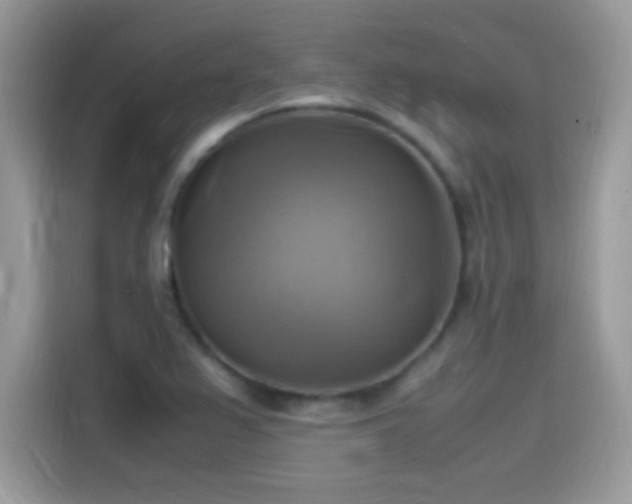 X0000115561367200911131618