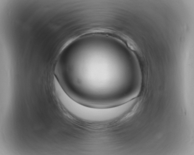 X0000115561369200911131618