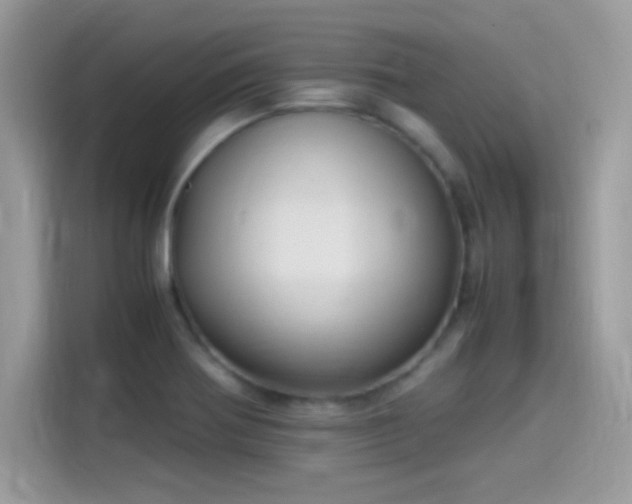 X0000115561370200911131618