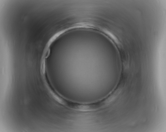 X0000115561371200911131618