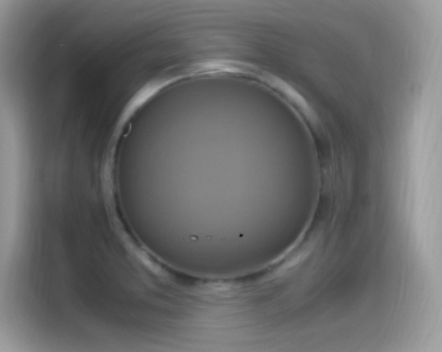 X0000115561373200911131618