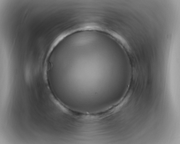 X0000115561374200911131618
