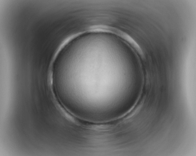 X0000115561376200911131618