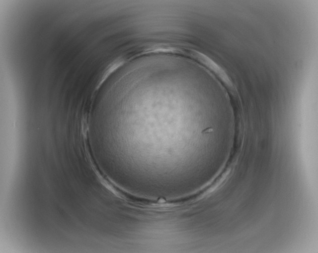 X0000115561377200911131618