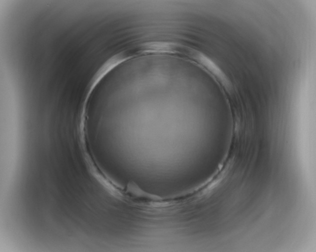 X0000115561378200911131618