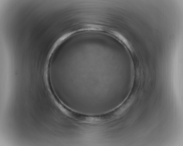 X0000115561379200911131618