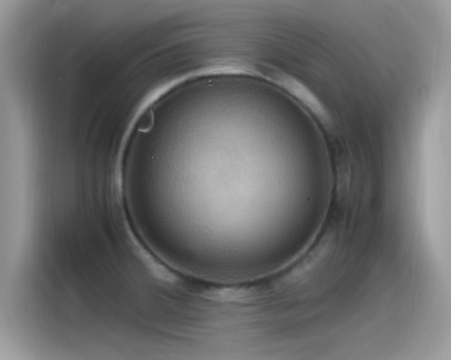 X0000115561380200911131617