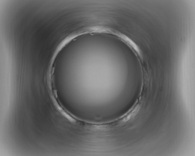 X0000115561381200911131617