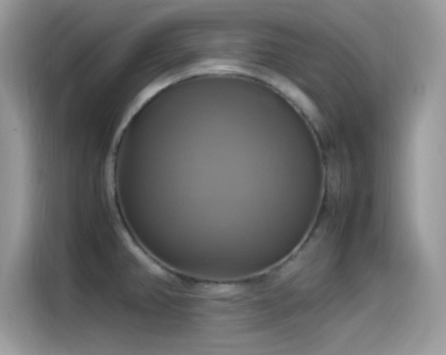 X0000115561382200911131617