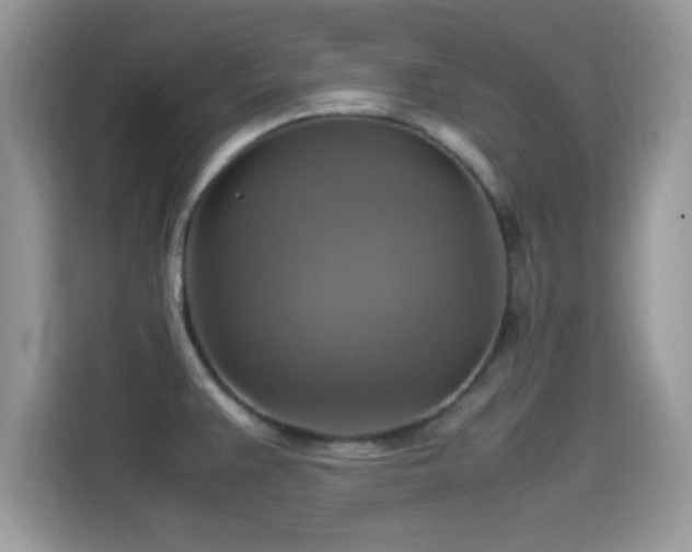 X0000115561383200911131617