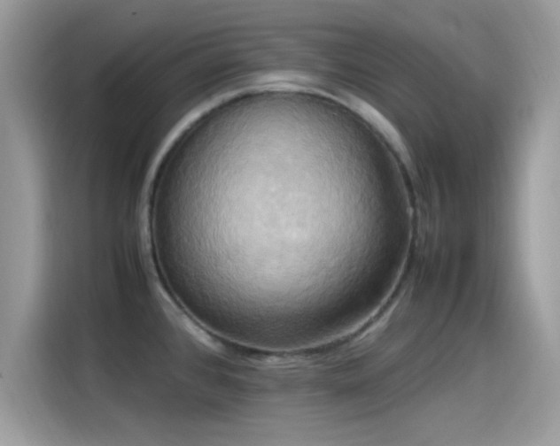 X0000115561384200911131617