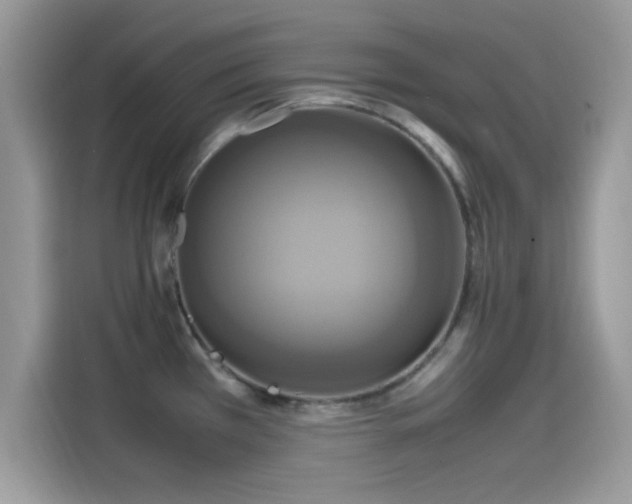 X0000115561385200911131617