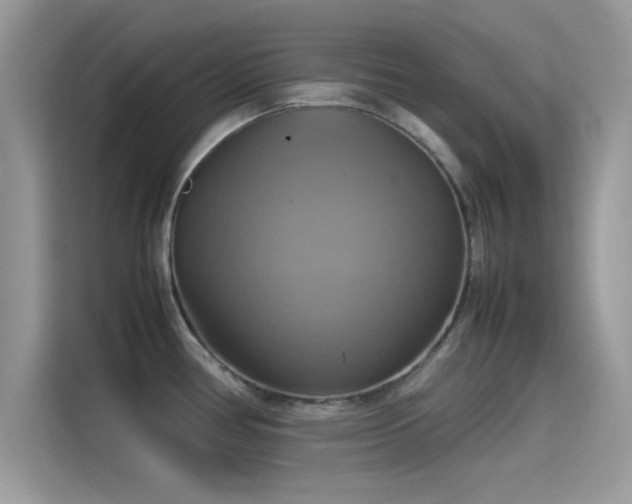 X0000115561386200911131617