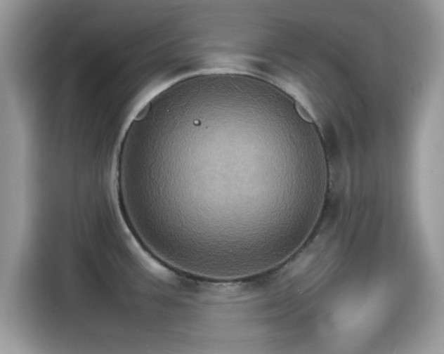 X0000115561387200911131617