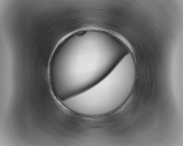 X0000115561388200911131617
