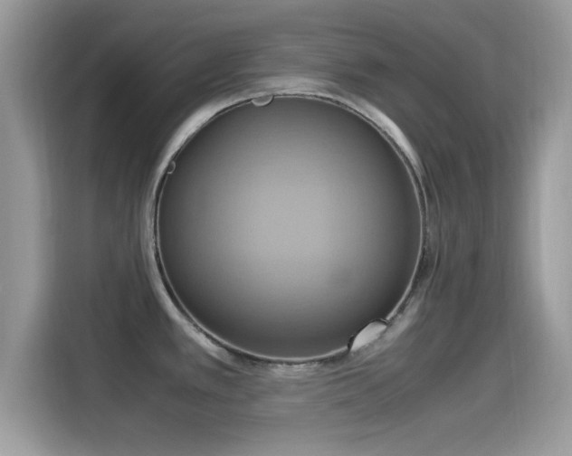 X0000115561389200911131617