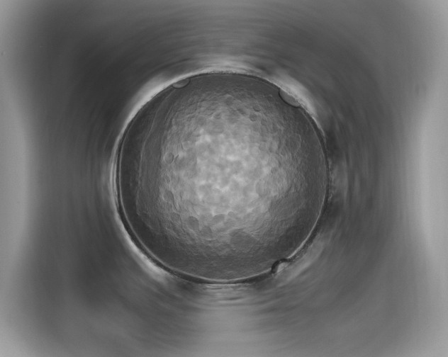 X0000115561391200911131617