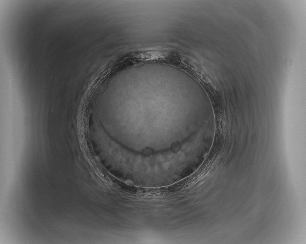 X0000115561393200911131617
