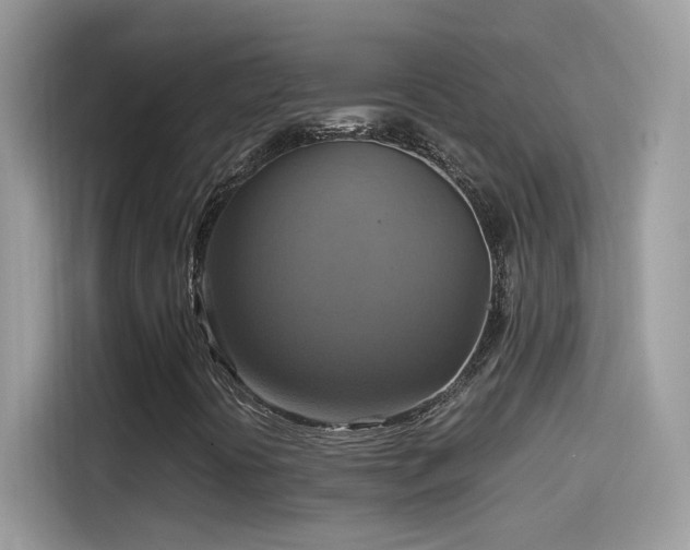X0000115561394200911131617