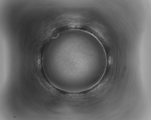 X0000115561396200911131617