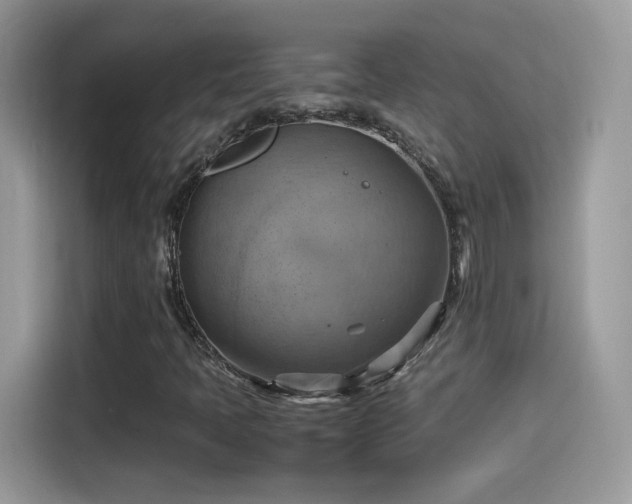X0000115561397200911131617