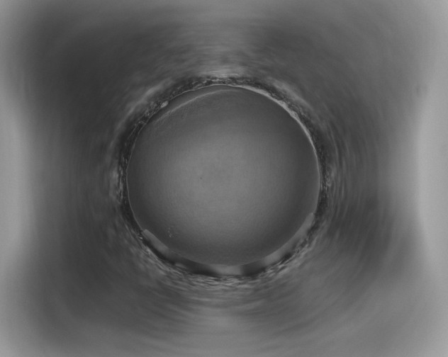 X0000115561398200911131617