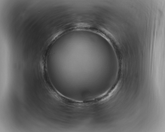 X0000115561401200911131617