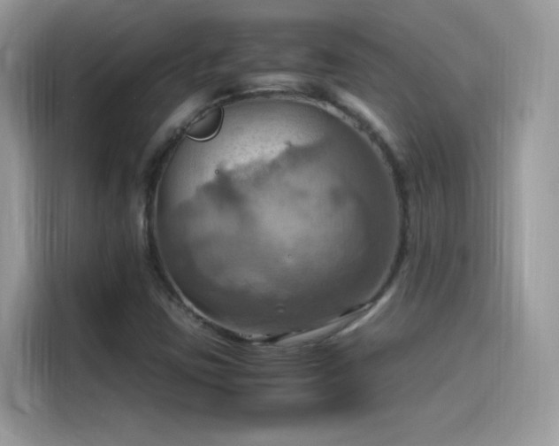X0000115561403200911131617