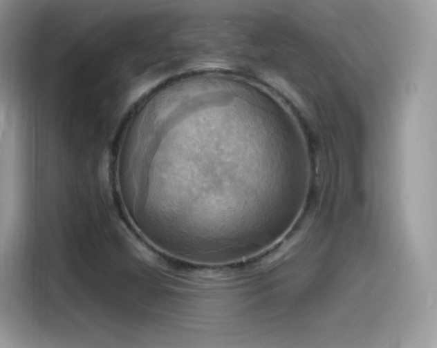 X0000115561404200911131617